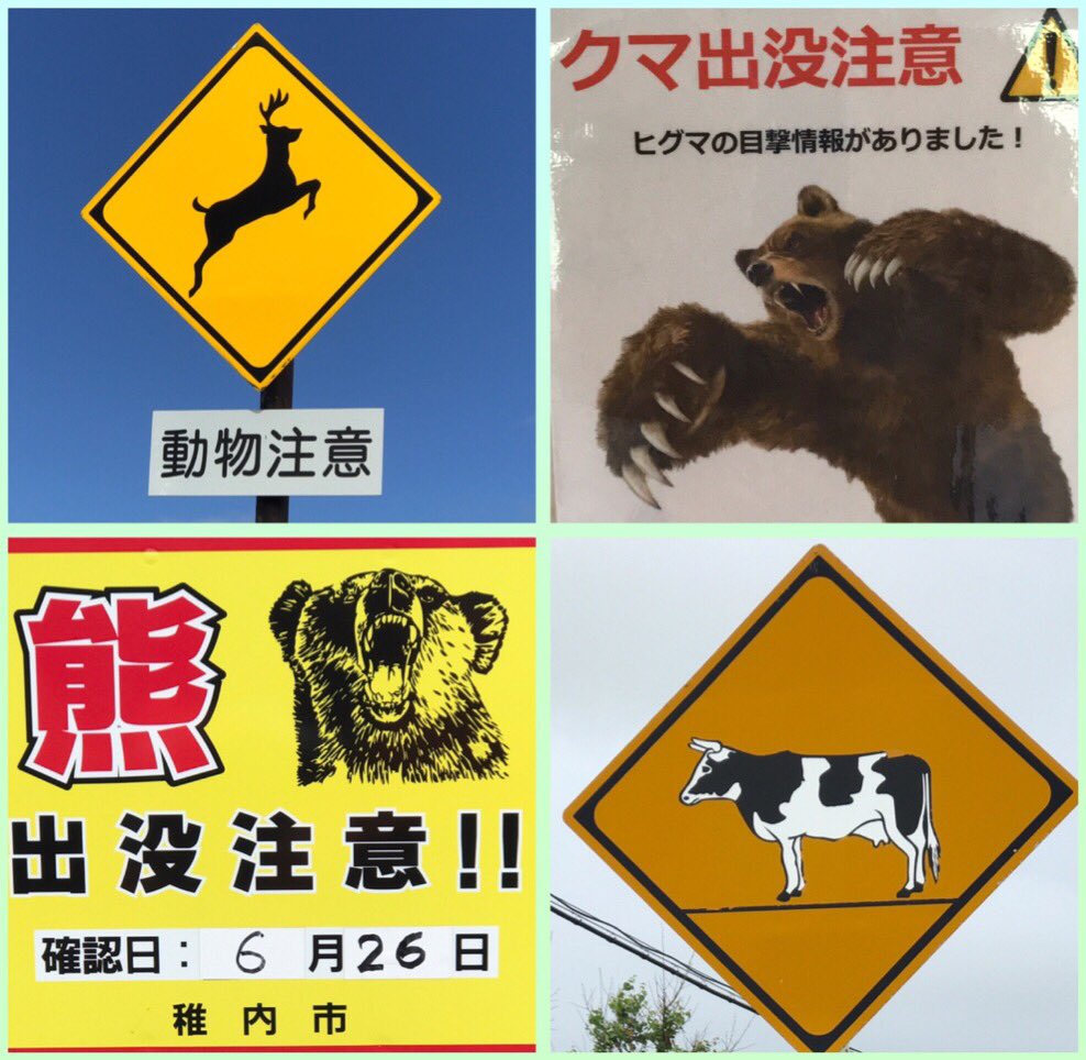 うちださん Ar Twitter マニア垂涎 動物注意 4選 熊と狐の道路標識バージョンで そろえたかったが 高速道路上で撮影無理だった 動物注意 熊出没注意 Https T Co Ym3pvlu8s8 Twitter