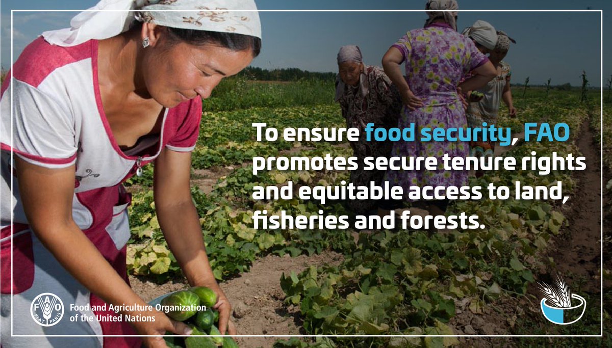 FAOKnowledge's tweet photo. @FAOfish Daily food & incomes of billions of people are determined by their access to land, fisheries & forests. #FAOFacts #zerohunger https://t.co/arGshjuKiT