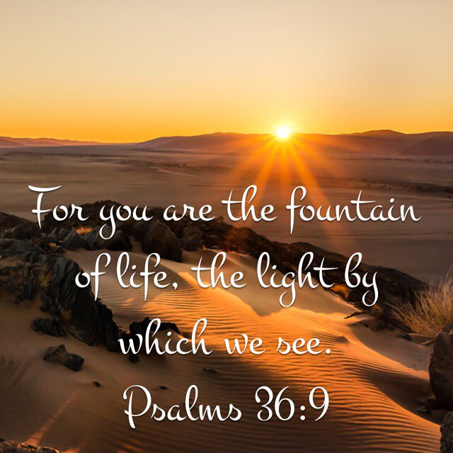 trinitysfaith's tweet photo. Whoever follows Me will never walk in darkness, but will have the light of life. Jesus~(John 8:12) Jesus Saves!☀️❤️ https://t.co/KJEKU72mYs