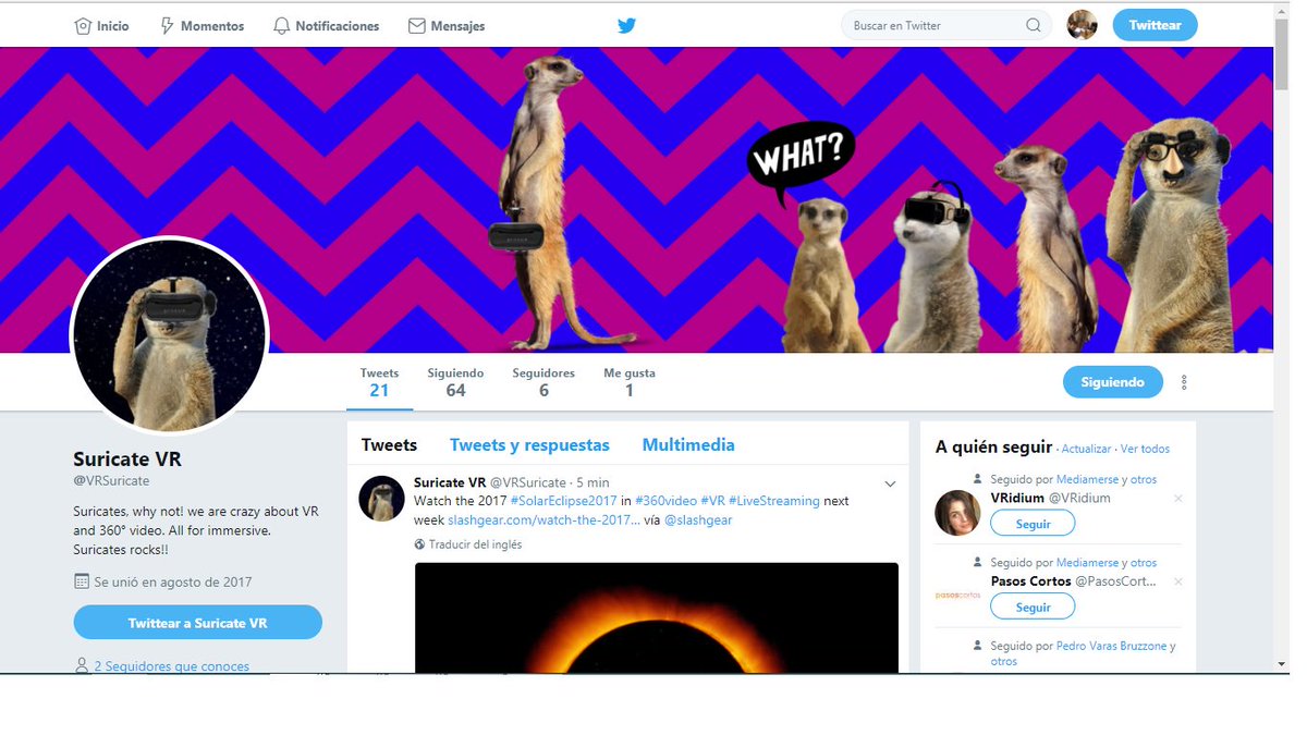 Seblag's tweet image. Cool profile !!  #LMAO 
👏:|] 💣 👀 
#WednesdayWisdom #BePositiveIn4Words #NationalRollerCoasterDay #happy