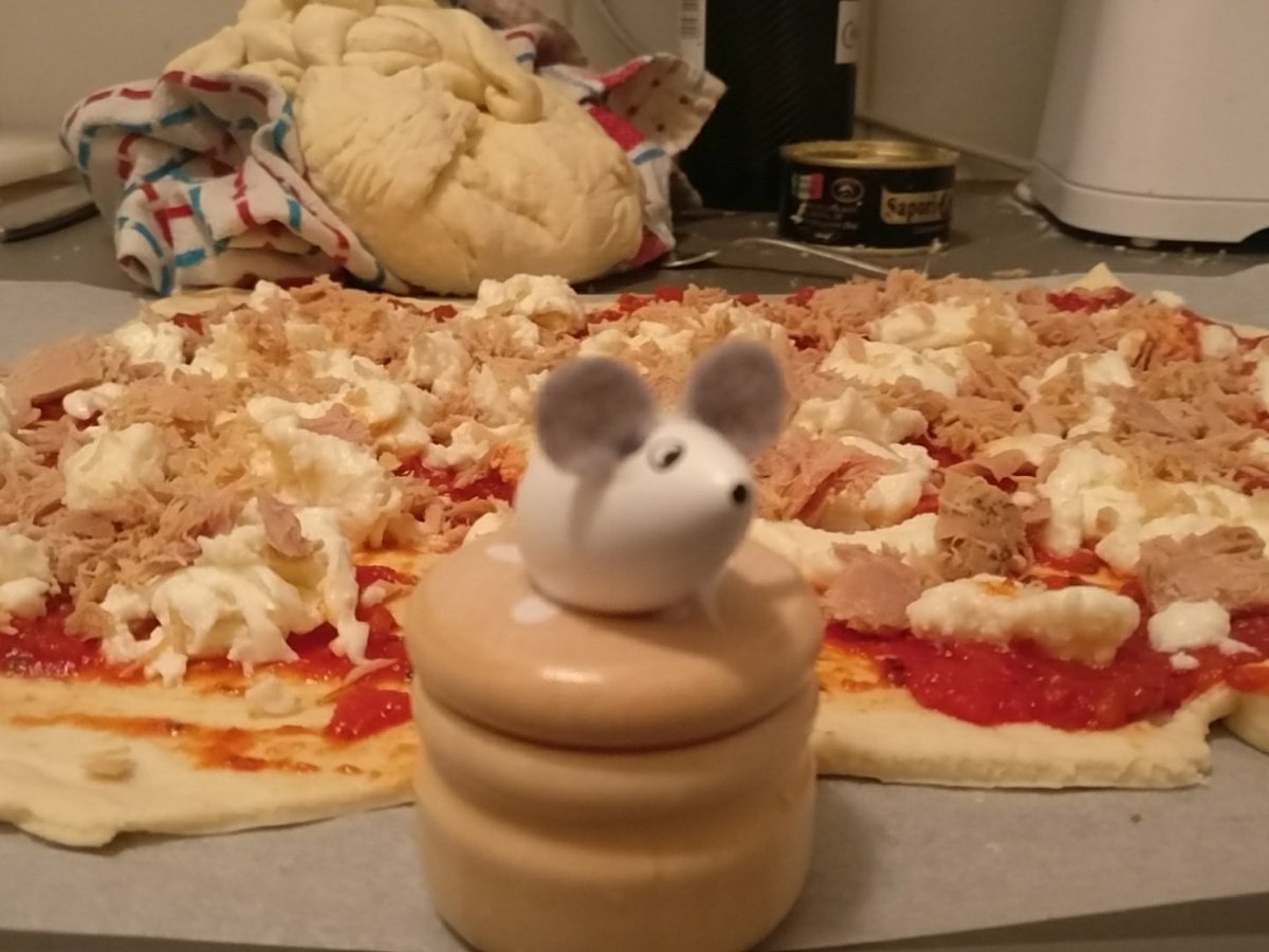 ICOmouse's tweet image. @ICOmouse make a break in real world, to come back stronger in ICO @enigma_data @NapoleonXai @HFRinc