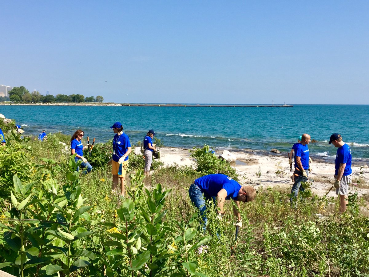 Shedd Aquarium on Twitter "Huge thanks to united volunteers for