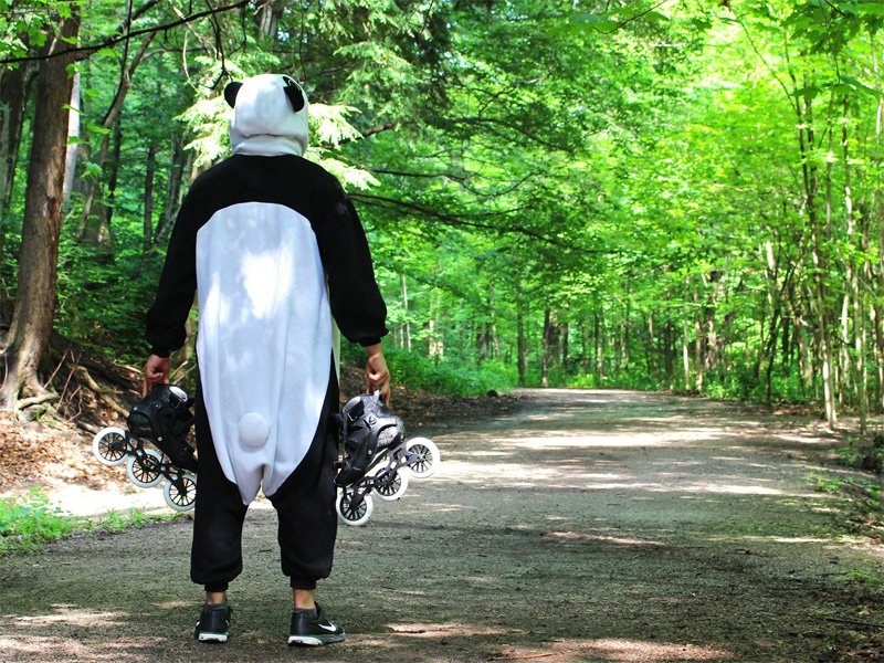 Cross Country Rollerblader Stops in SK dlvr.it/PfXT0k https://t.co/yz1rKNhpNA