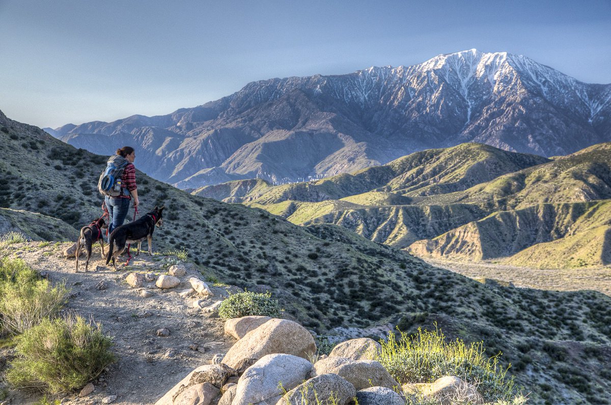 A woman with two dogs on leashes stands on a hiking path overlooking rolling hills and a tall mountain in the distance.