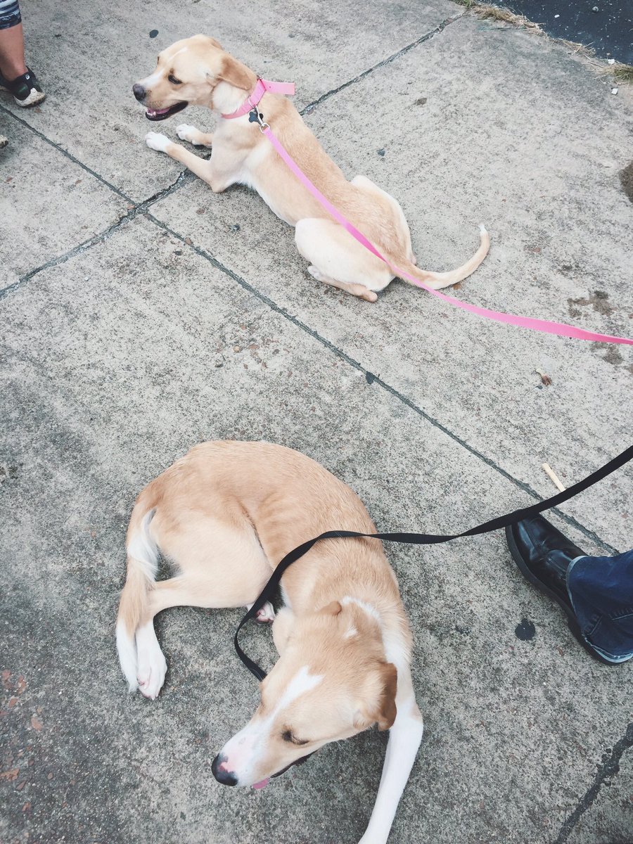 It's a great day to lay around and soak up the sun. Thanks for the idea, Ralph and Lauren!