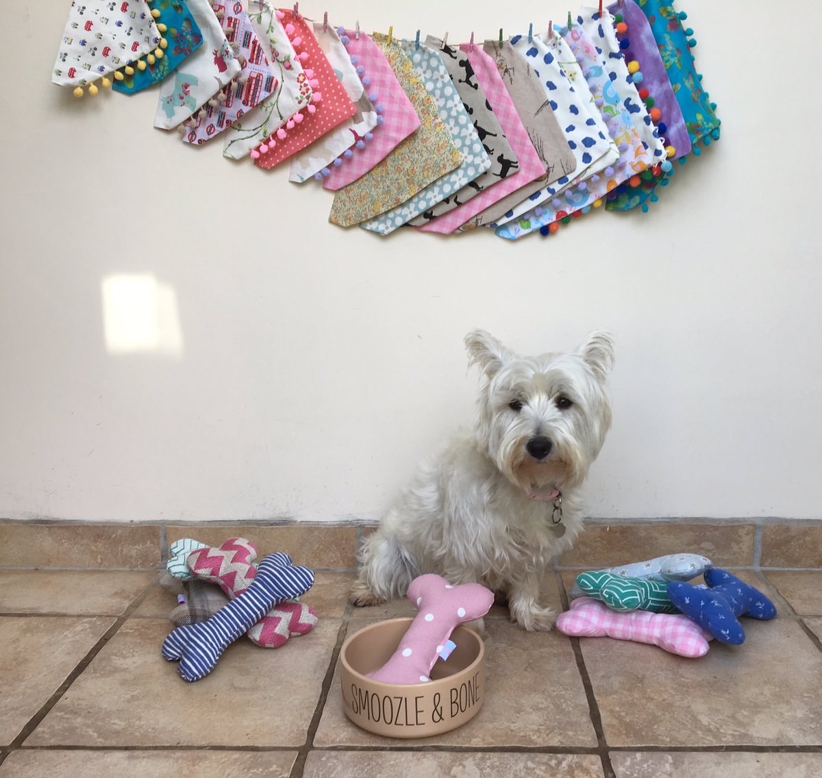 Emma Elliott tweet media