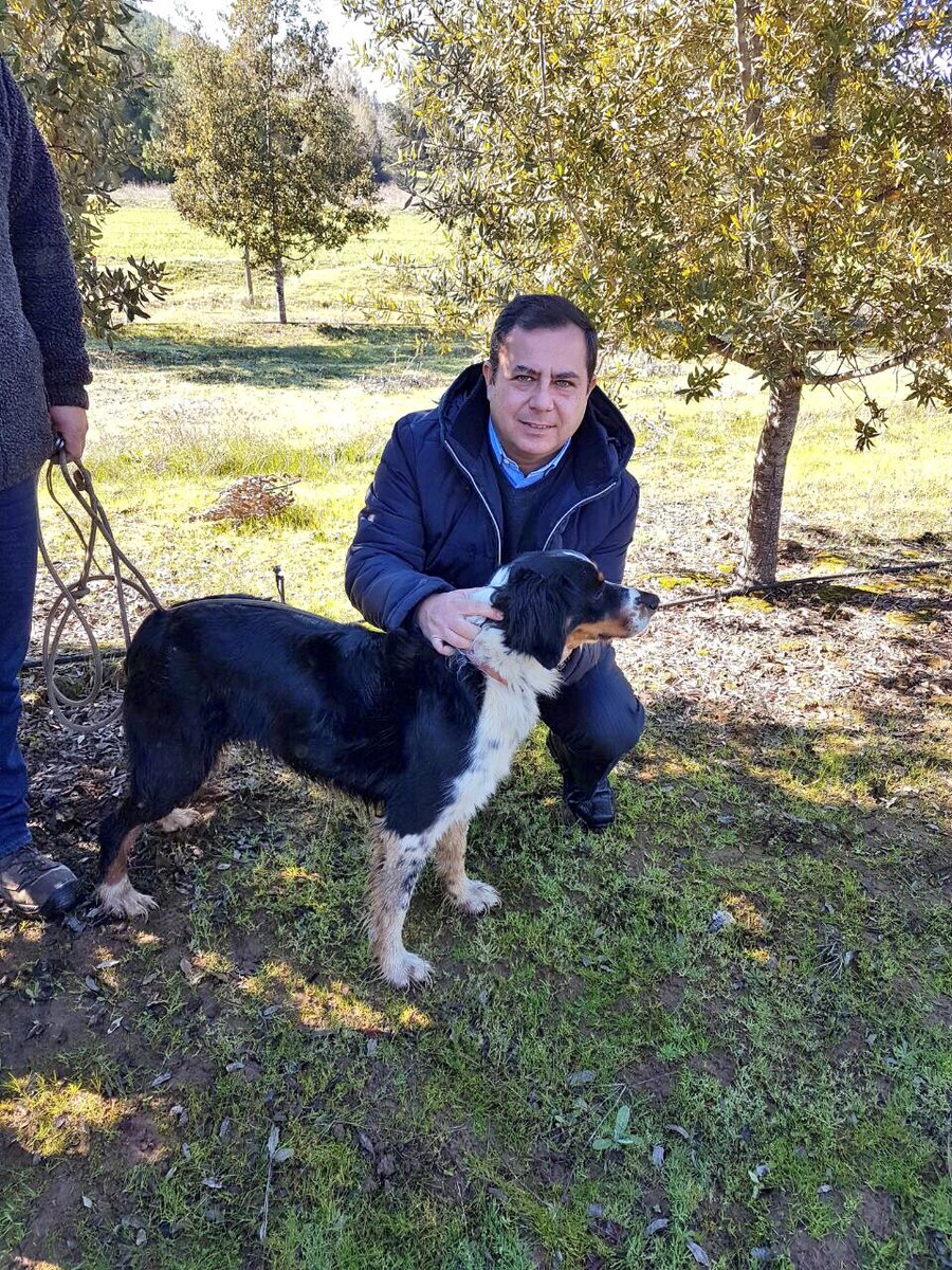 ProChile's tweet photo. En Pencahue, director regional del Maule se reunió con Asociación de Productores de Trufa, para destacar apertura de mercado en Brasil 🇨🇱🇧🇷 https://t.co/Cs0omMkho1