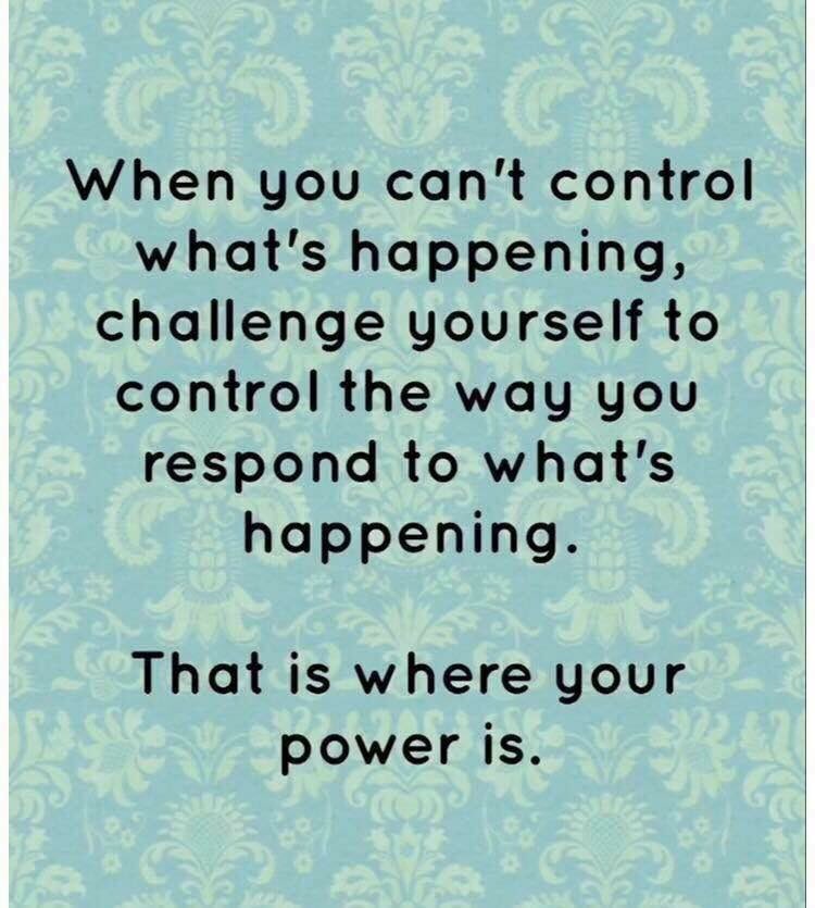 cinners_'s tweet image. 