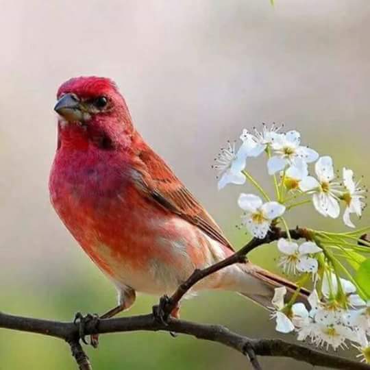 Wasn6860's tweet photo. يسعد مساكم https://t.co/Zqf23E1Vbk