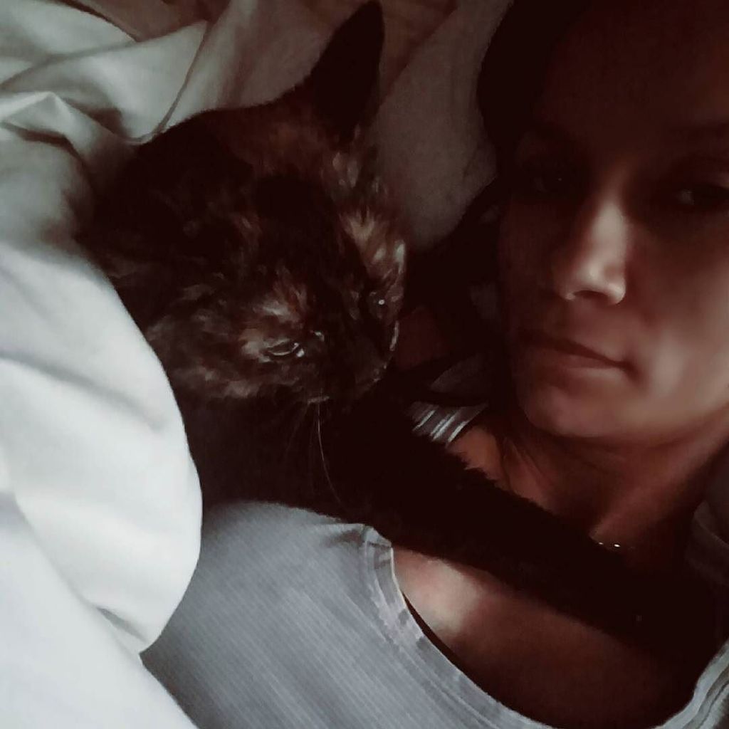 AprilontheRun's tweet photo. Someone thinks they need to be all up in my face first thing in the mornings! Spoiled much?! #cats #petsofinstagra… https://t.co/TwZQ1IzXHf https://t.co/9bEZlOtLS1