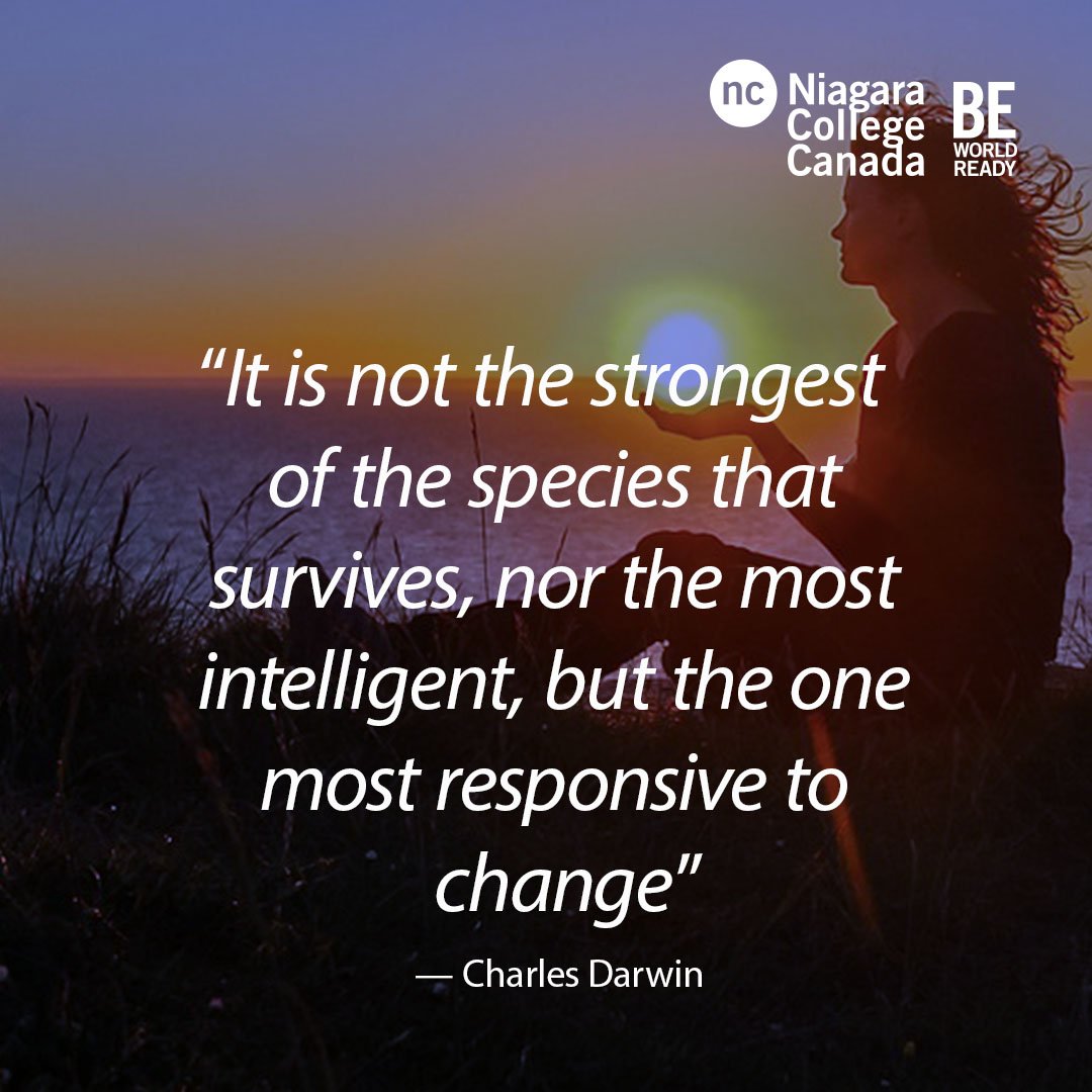 Be World Ready tweet media