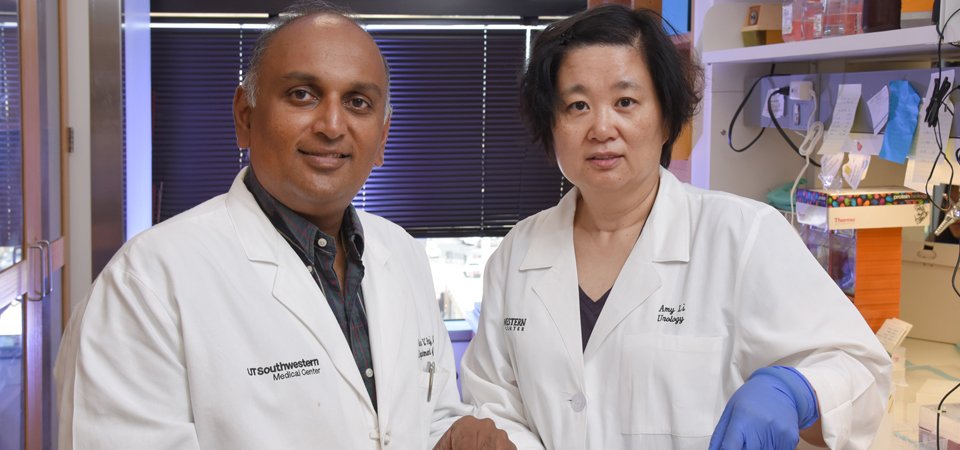 marykaycares's tweet photo. New Molecule Discovered To Help Drug-Resistant Breast Cancer https://t.co/sB1ysy5v43 #TheWednesdayReport #tmkf https://t.co/5Sv5lPTptw