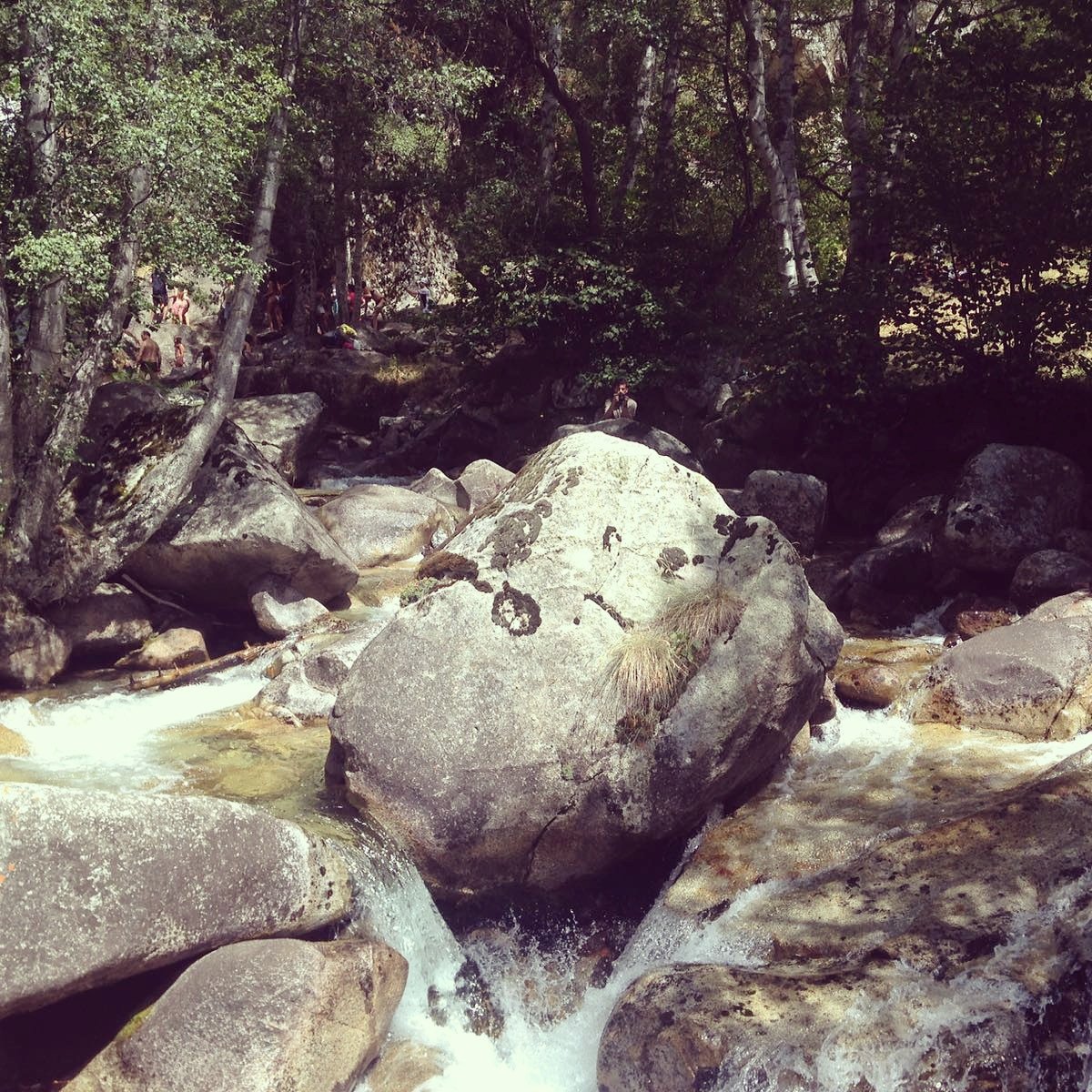 rqbmazul's tweet photo. Aigua, pedra, verd... #Pirineus2017 #Cerdanya #primerapart https://t.co/N1DlS4XNqJ