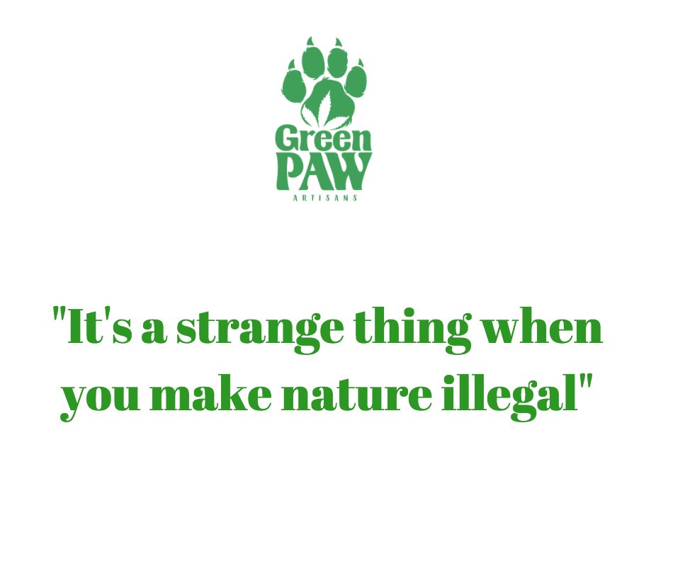 Who else is in agreement? #Cannabis #CannaLegal #Marijuana #GreenPaw #GreenPawArtisans