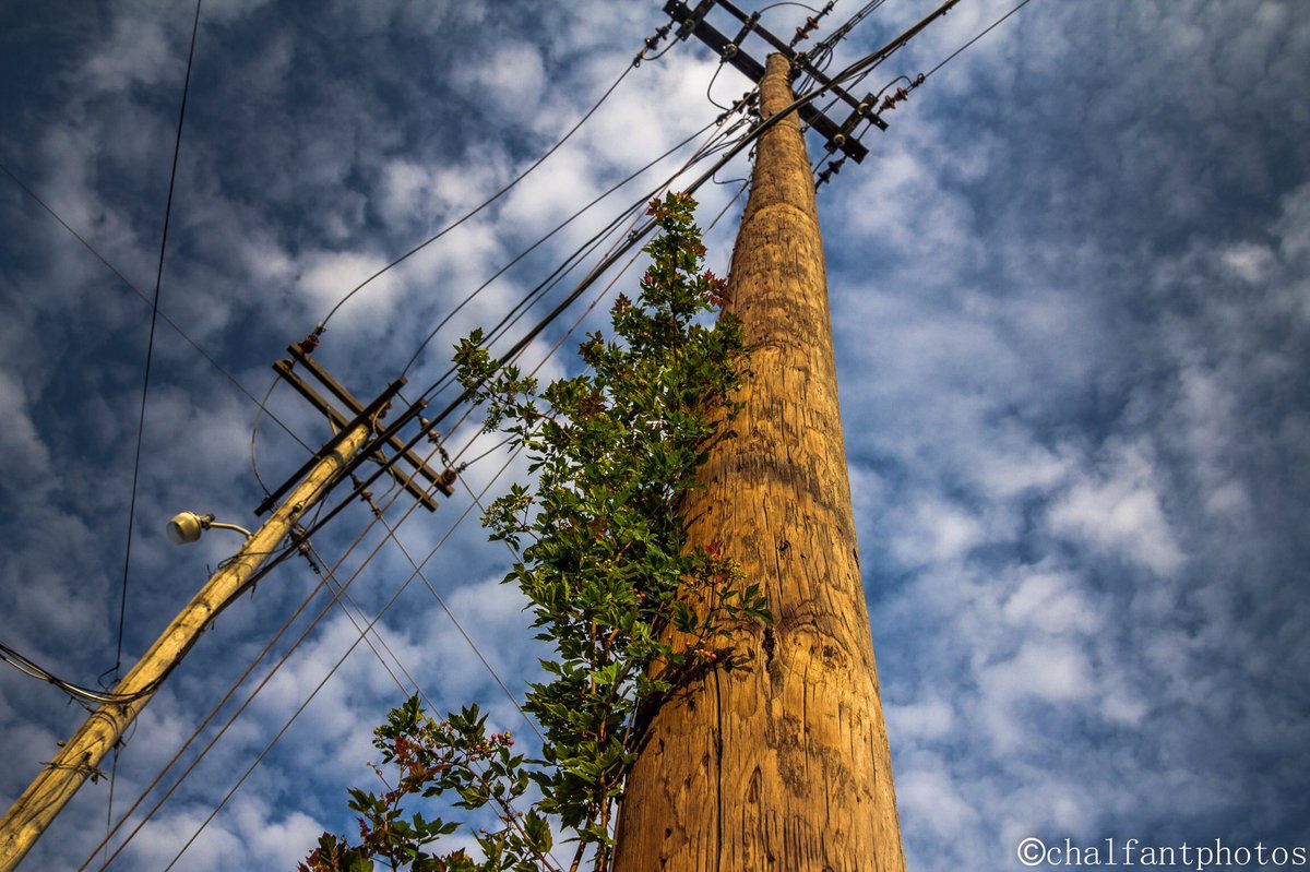 nothing but love for the nature of photography.