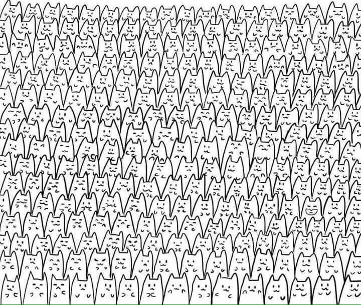 PincheBatman's tweet photo. RT si me encuentras en menos de media hora: https://t.co/nyxdGNMGOK