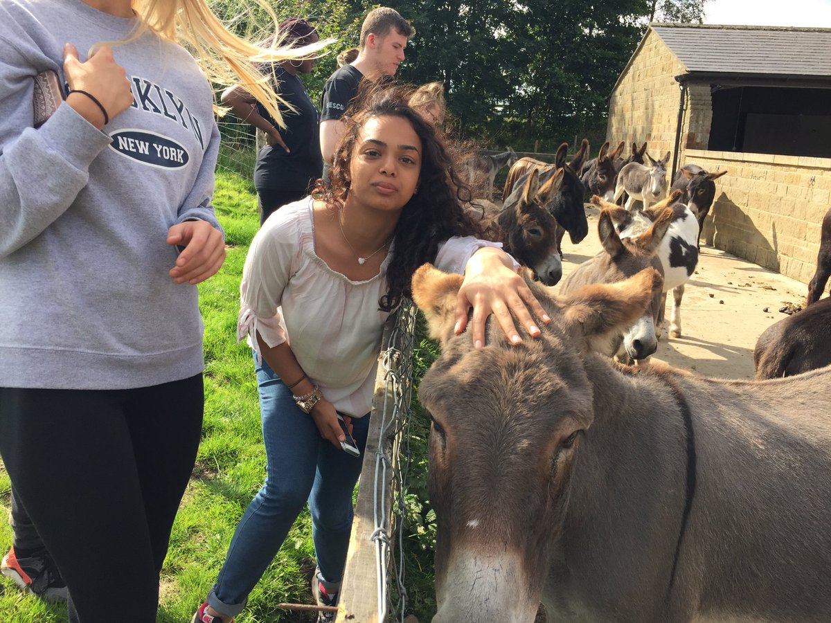 Reiss8Donkey's tweet photo. Had a productive and amazing day at @DonkeysLeeds working on the track and playing with the donkeys @challengeyorks https://t.co/I1bY85DlXN