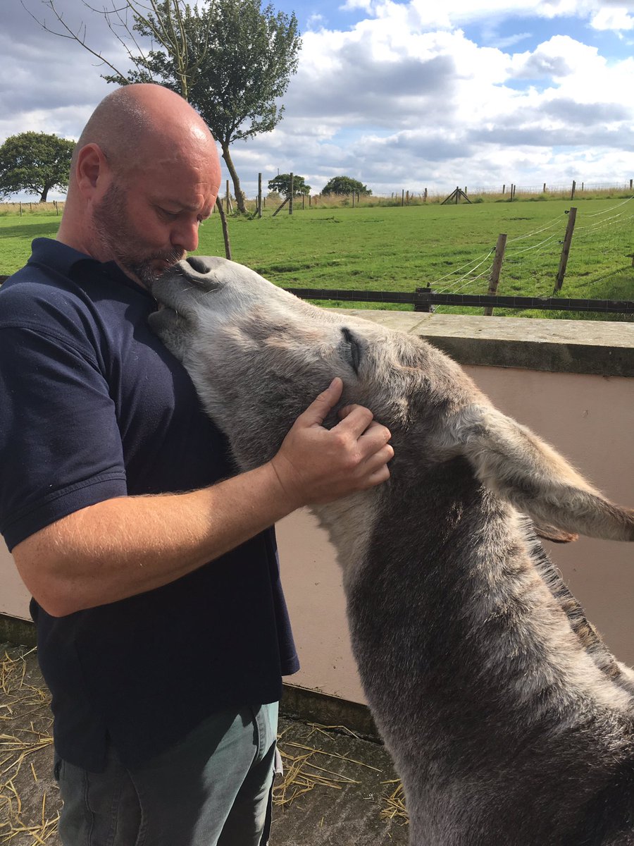 Reiss8Donkey's tweet photo. Had a productive and amazing day at @DonkeysLeeds working on the track and playing with the donkeys @challengeyorks https://t.co/I1bY85DlXN