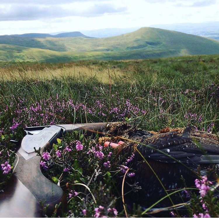 Gamebore Cartridges tweet media