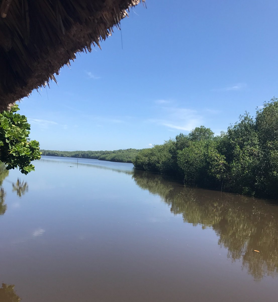 UKinElSalvador's tweet photo. Hoy salimos de la Embajada para visitar nuestro proyecto de conservación ambiental🌎🐢 en la #BarraDeSantiago #YouAreTheChange #GreenIsGreat https://t.co/mJpe3Cr5QE