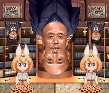 画像 / Picture