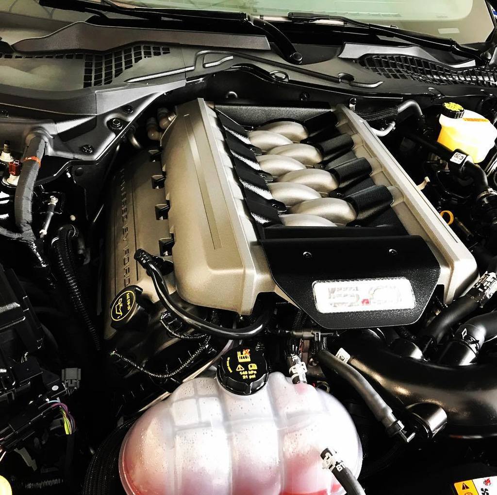 FirstDriveMX's tweet photo. El alma de un pony. 🐴🔥
#ford #fordmustang #v8engine #tags4tags #tagsforlikes #like4like #firstdrivemx https://t.co/ShufGesuBE https://t.co/c8lRuf1QhS