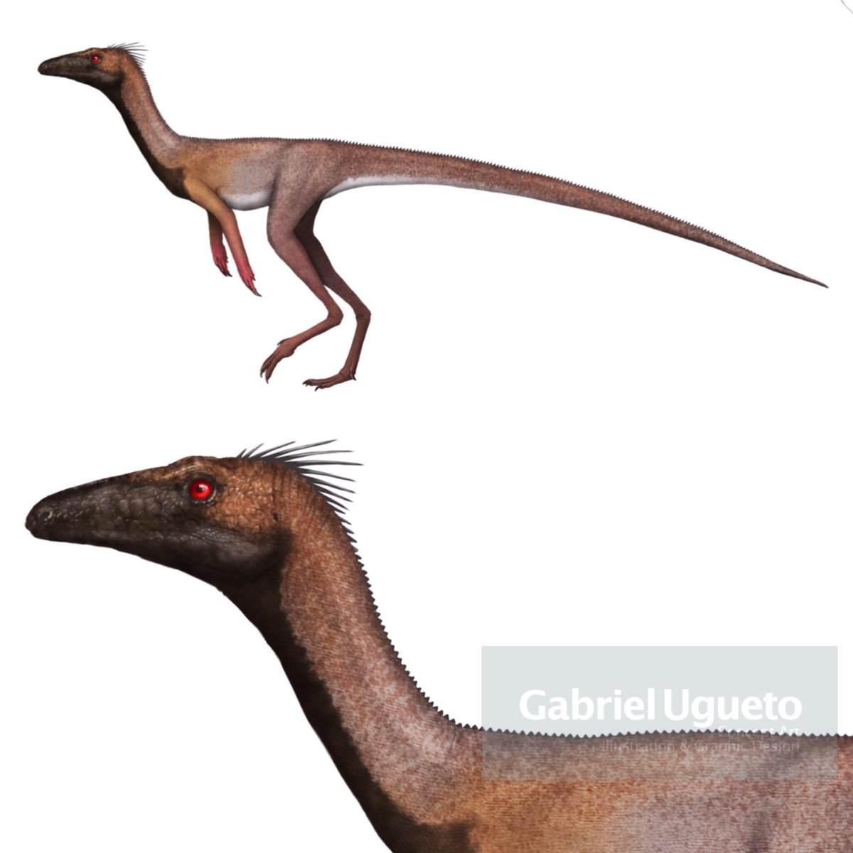 Resultado de imagem para herrerasaurus gabriel ugueto