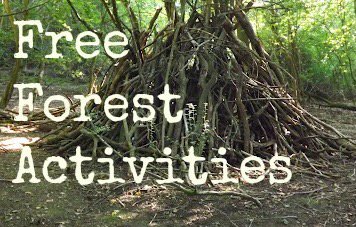 LittleOxplorers's tweet photo. Half of the population in England live within 6 miles of woodland! Check out these fun forest activities #forestfun https://t.co/MbADlf7G6H https://t.co/ZXWhRCurjf