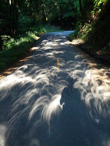 LexJet's tweet photo. These “pinhole” shadows cast by tree leaves during an eclipse make for a cool print pattern! Via @PetaPixel https://t.co/FxpXvSBu7a https://t.co/4LxkXGcTmr