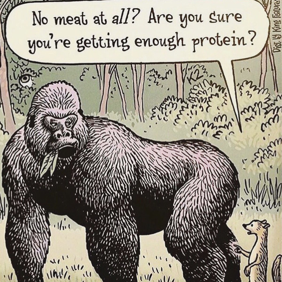 mathildaling's tweet image. JAG LEVER