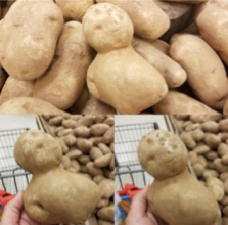 Food_Face_Bot's tweet photo. Them: you’re such a couch potato
Me: https://t.co/rP4QcEhqPP