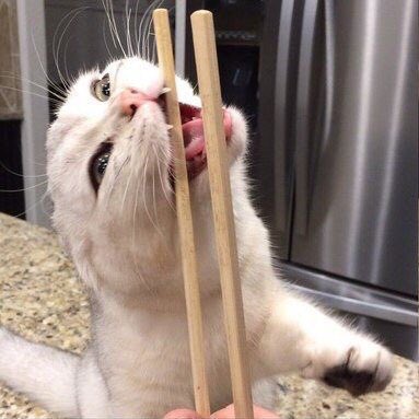 bxstivn's tweet photo. moi qd je mange au jap https://t.co/3uGYDt5VPX