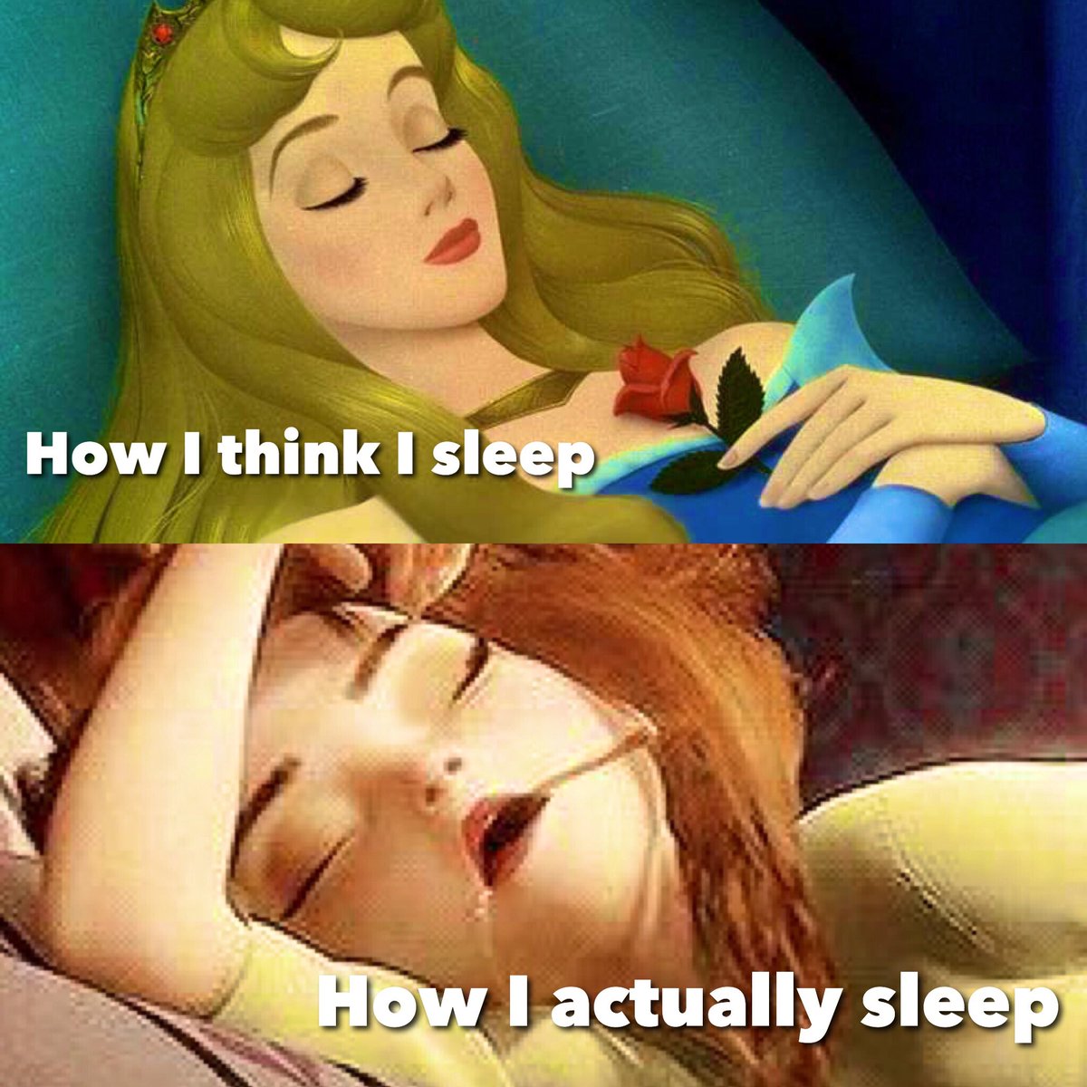 Pillows_com's tweet photo. #Imsofancy #sleep #pillowsdotcom #pillows #isleeplikeatroll https://t.co/zbz4Oemr2N