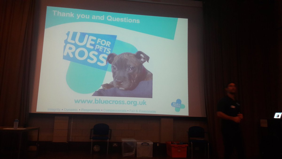 YoungGlos's tweet image. Thank you to @The_Blue_Cross for coming in today. Our young people really enjoyed the talk! 🐶🐺 #loveanimals #potentialproject