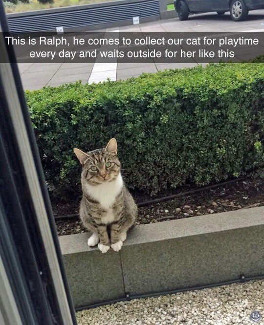 BombshellBf's tweet photo. Ralph is a true Gentleman. Be like Ralph https://t.co/o073rY9dwR
