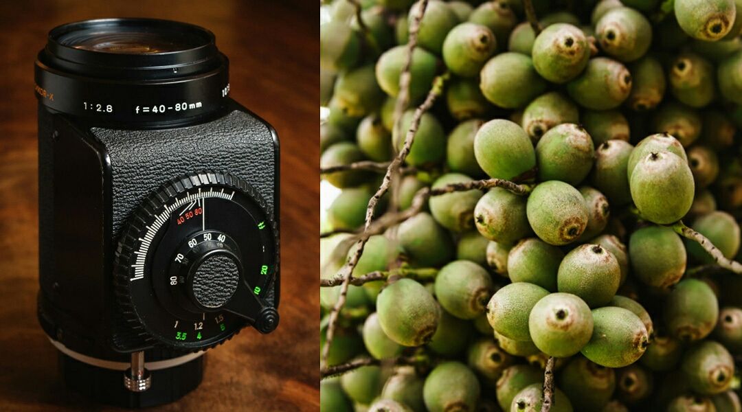 MyDigitalEye_HM's tweet photo. A forgotten solution for tack #sharpphotos - DIY #Photography https://t.co/DYH8uoLVH2
#photographytips #betterphotos https://t.co/zPUo74brm4