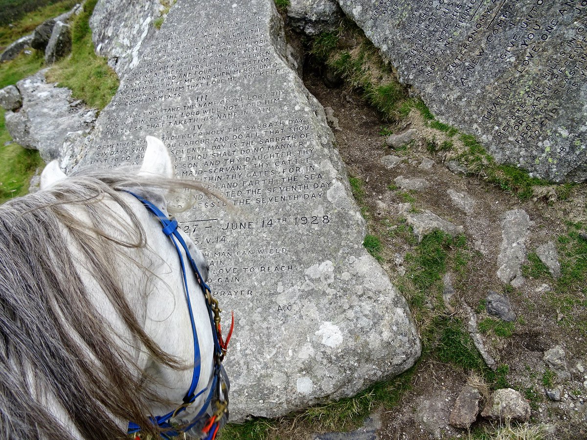 Elcarmaal's tweet photo. Rocky reads the Tablets of the Law @El_Boran #Bucklandbeacon #Dartmoor https://t.co/qsggeYyQio