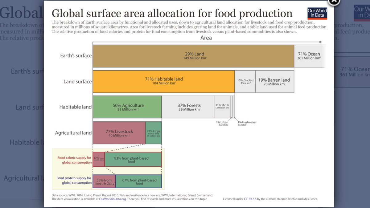 BozzettoStefano's tweet photo. Why efficiency in energy is a must, but in farming #landefficiency is an unknown concept? #biogasdoneright #vegetableprotein #doublecrops https://t.co/mBIyjIN2rM