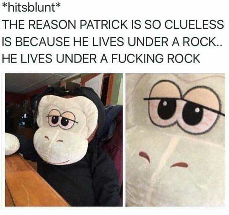 Hits_blunt_bruh's tweet photo. bruh 😂😂😂
.
.
.
#likeforfolow #l4l #likeforlike #likeforfollow #l4like #funny #retweetforfollow #lmao #hitsblunt #memes #lmfao #l4follow #wtf https://t.co/oMnAIBjFak