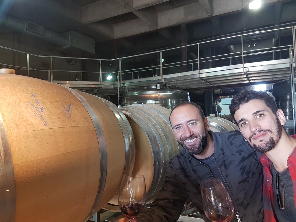 Paula Borgo tweet media