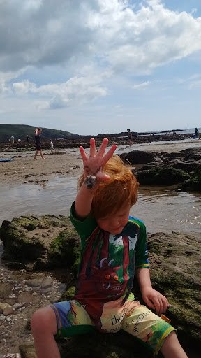 WithReuben's tweet photo. Holiday by the beach visiting family, sitting strong on the rocks and ready to paddle #holiday #summer #beach https://t.co/E8zDxFdSiT