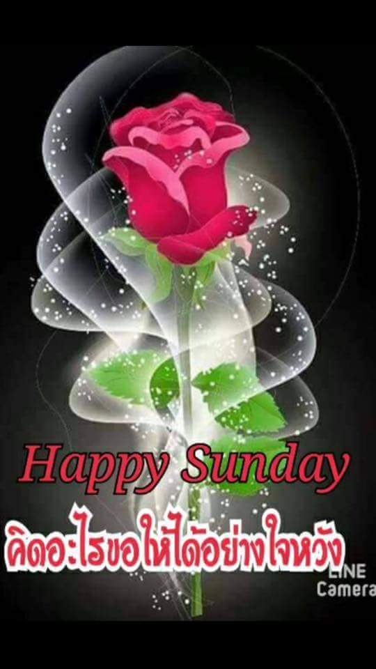 누가 말을 많이한다고
욕하지 말라.
그 도 말없이 보낸 시간이 많았으리라.