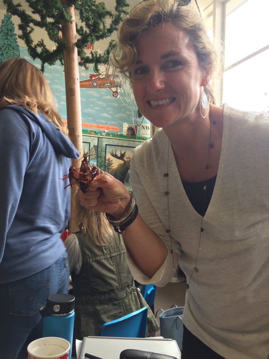 MrsCappellano's tweet photo. Foss Science at its best! @BaywoodBears #crayfish https://t.co/RPj2qys5QU
