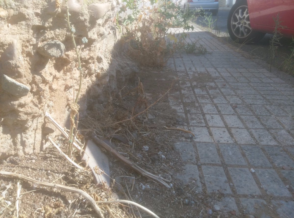 BoxkrMerida's tweet image. Nos indigna leer esto!!! hoy.es/merida/ayuntam… esta es la calle de @BoxkrMerida, @PPMerida @psoemerida @PodemosMerida_ @iunida