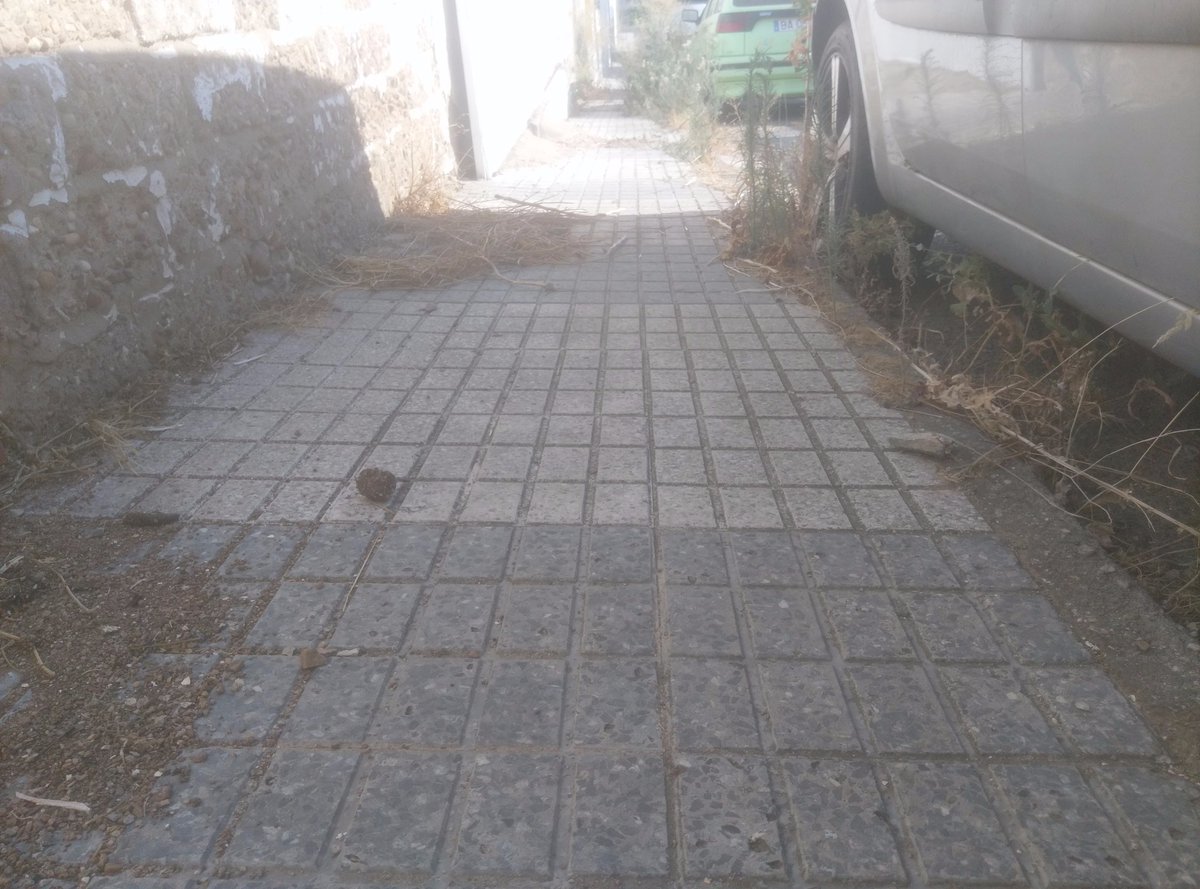 BoxkrMerida's tweet image. Nos indigna leer esto!!! hoy.es/merida/ayuntam… esta es la calle de @BoxkrMerida, @PPMerida @psoemerida @PodemosMerida_ @iunida