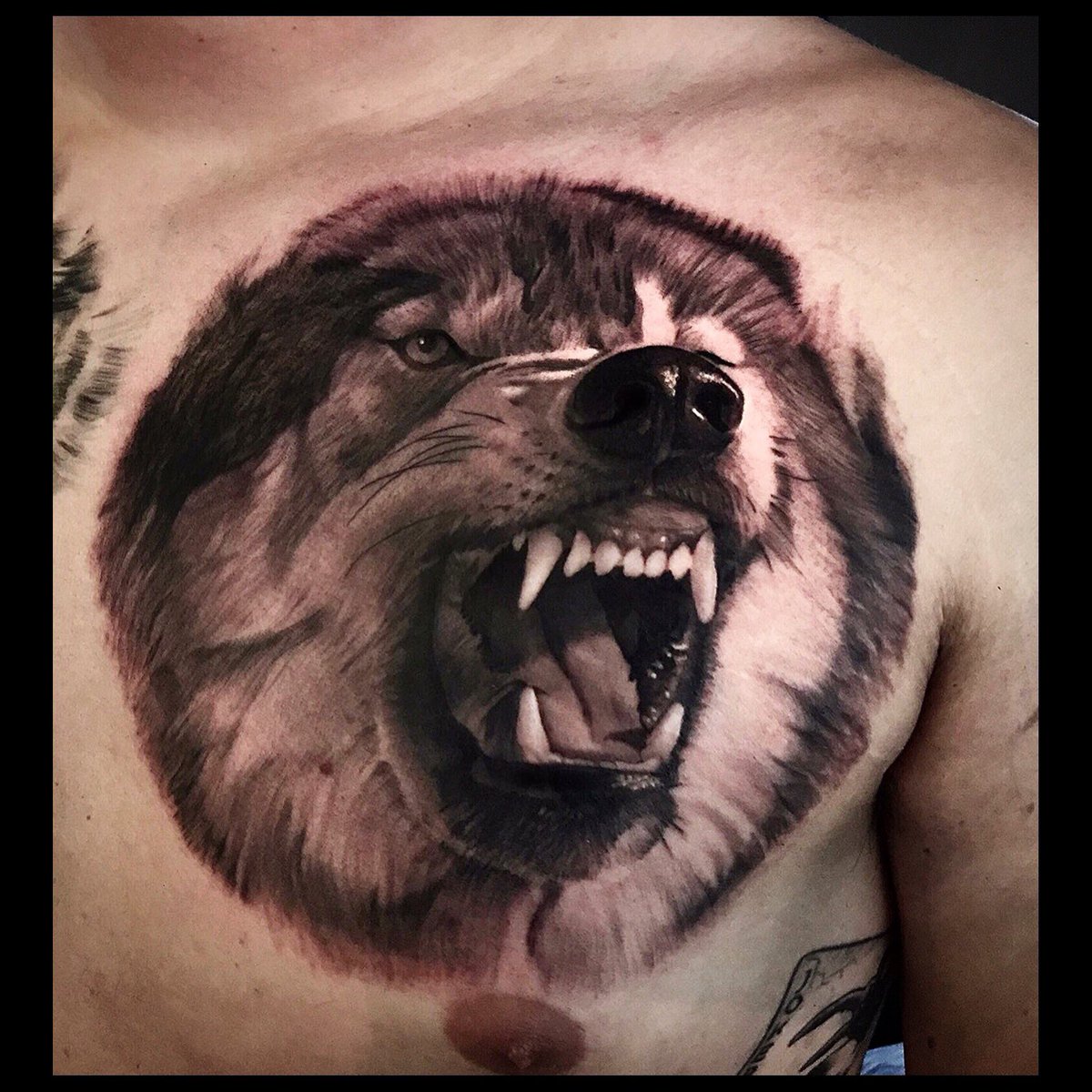 bobbys_tats's tweet photo. https://t.co/xiRtS3uHeU
@alexcannon247
@itslaurendotcom
#wolf #wolftattoo #uktattoo #londontattoo #essexttoo #loughtontattoo #chigwelltattoo https://t.co/BJGK0wFMla