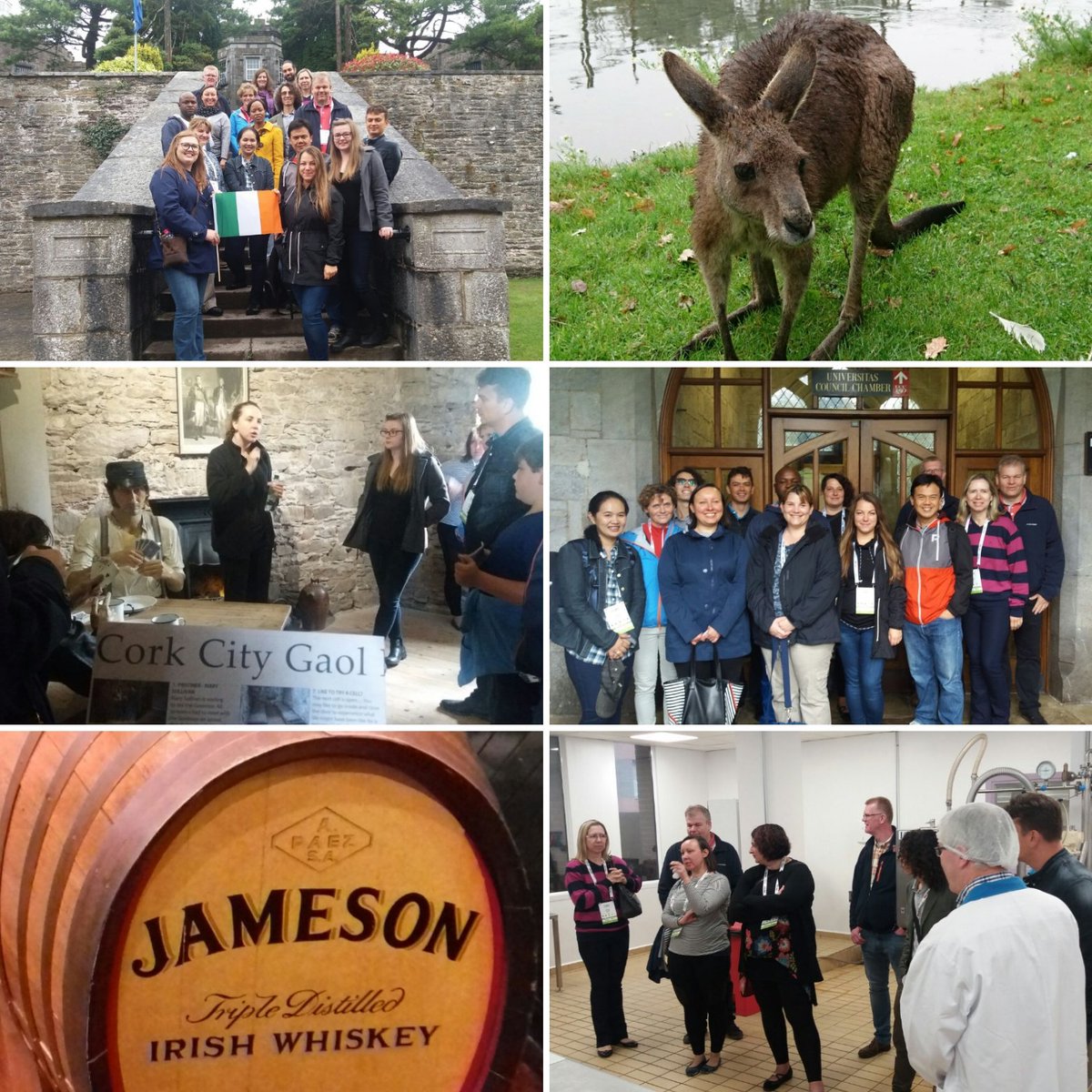 Did you attend a technical and scenic tour today <a href="/ICoMST2017/">ICOMST2017</a>? Don't forget to tweet your pictures!