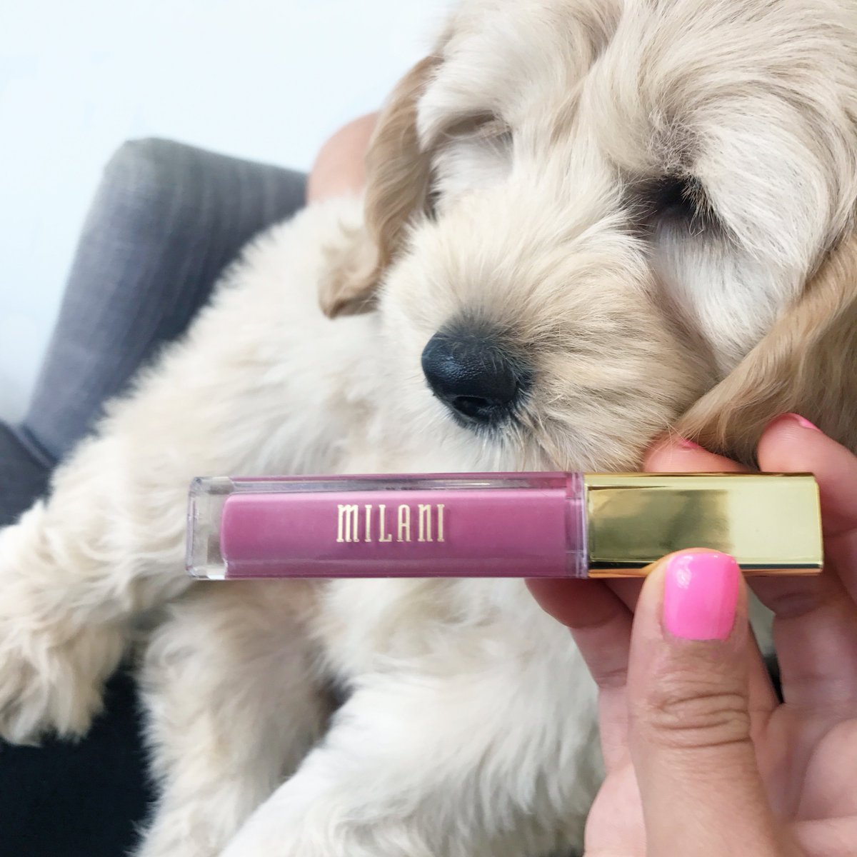 milanicosmetics's tweet photo. Always #CrueltyFree. RT if you’re with us! https://t.co/XZbTGACYi8