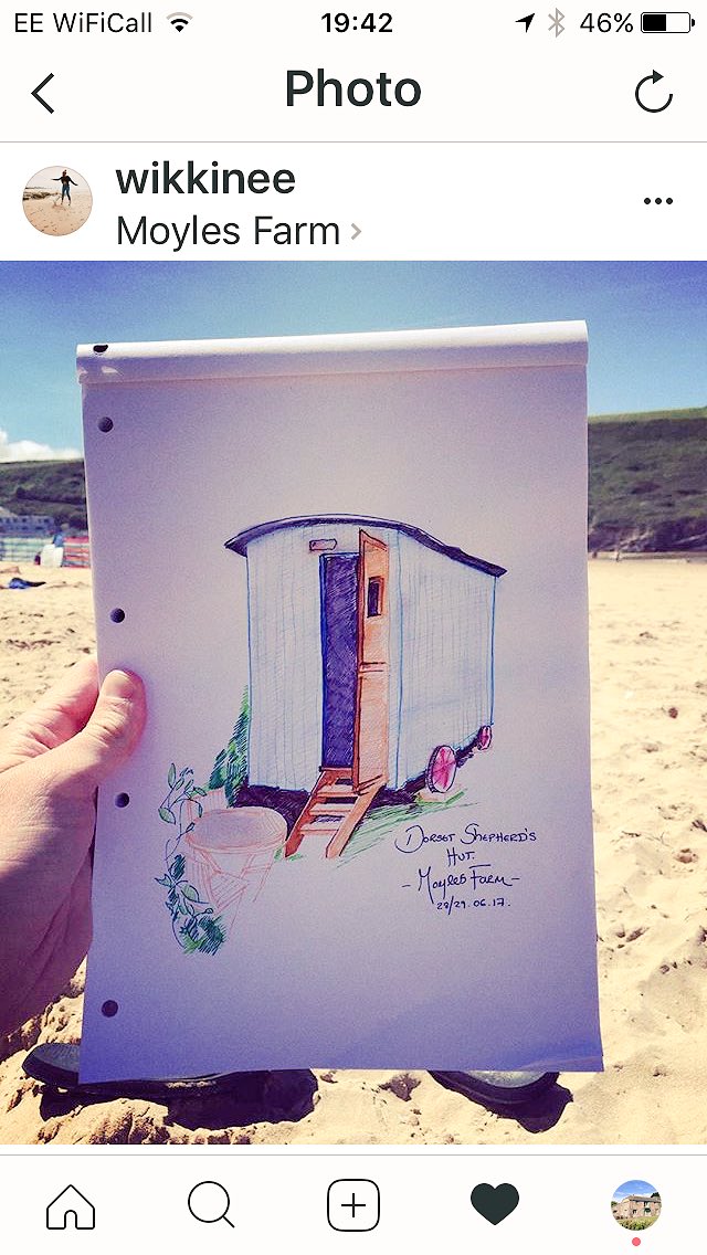 Moyles Farm (@moylesfarm) on Twitter photo 