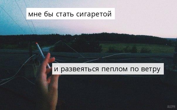 BstSongQuotes's tweet image. /ЛСП/